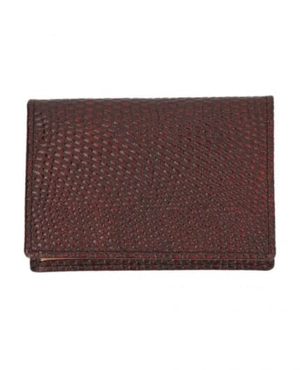 Dragon Card Case